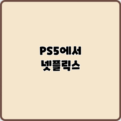 PS5에서 넷플릭스