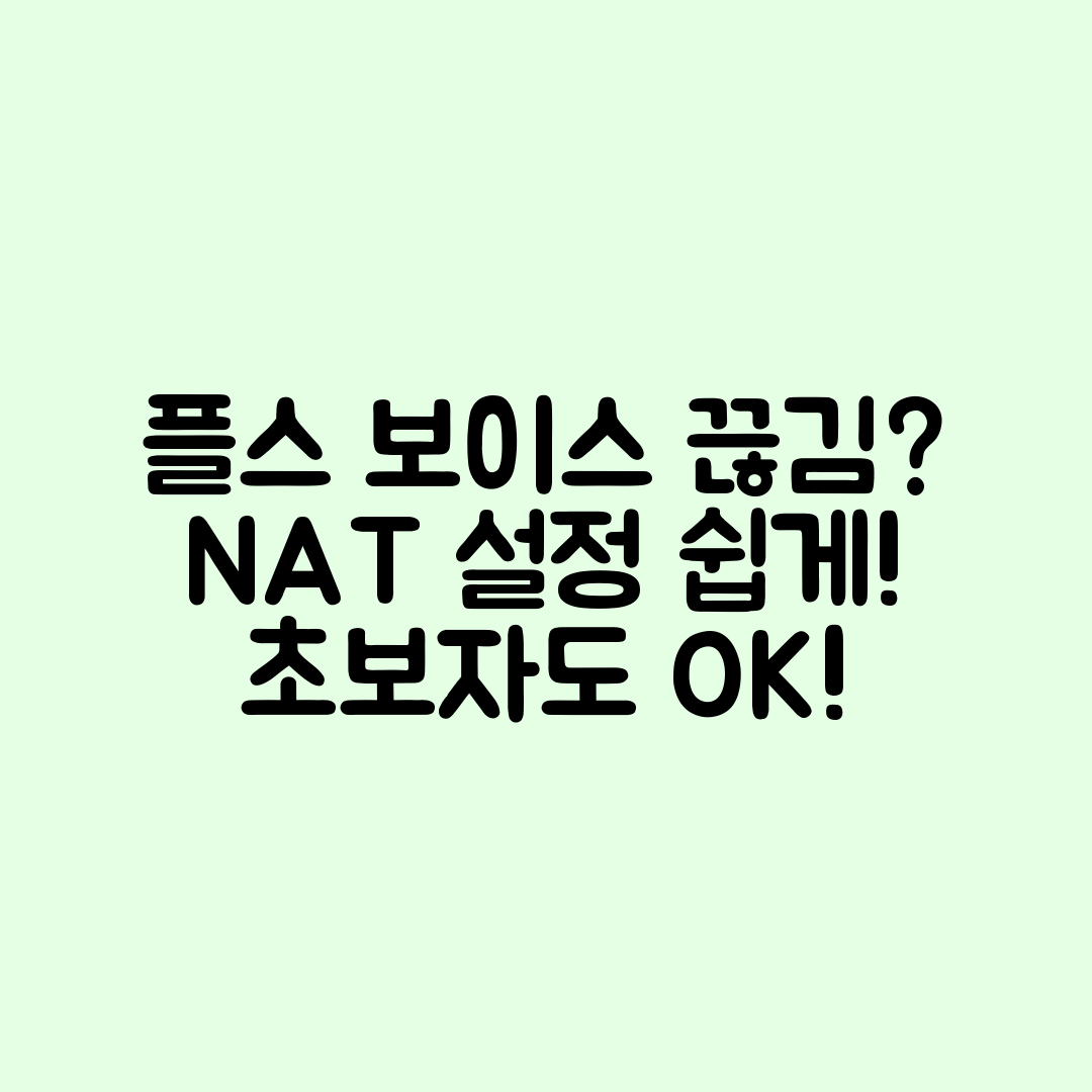 플스 파티 보이스 끊김? 초보자도 쉽게 NAT 설정 확인!