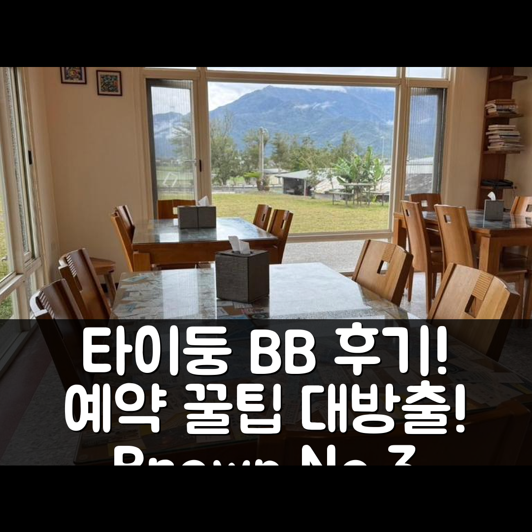 Brown No.3 B&B 타이둥 / 대동 특별 후기 및 예약 꿀팁!